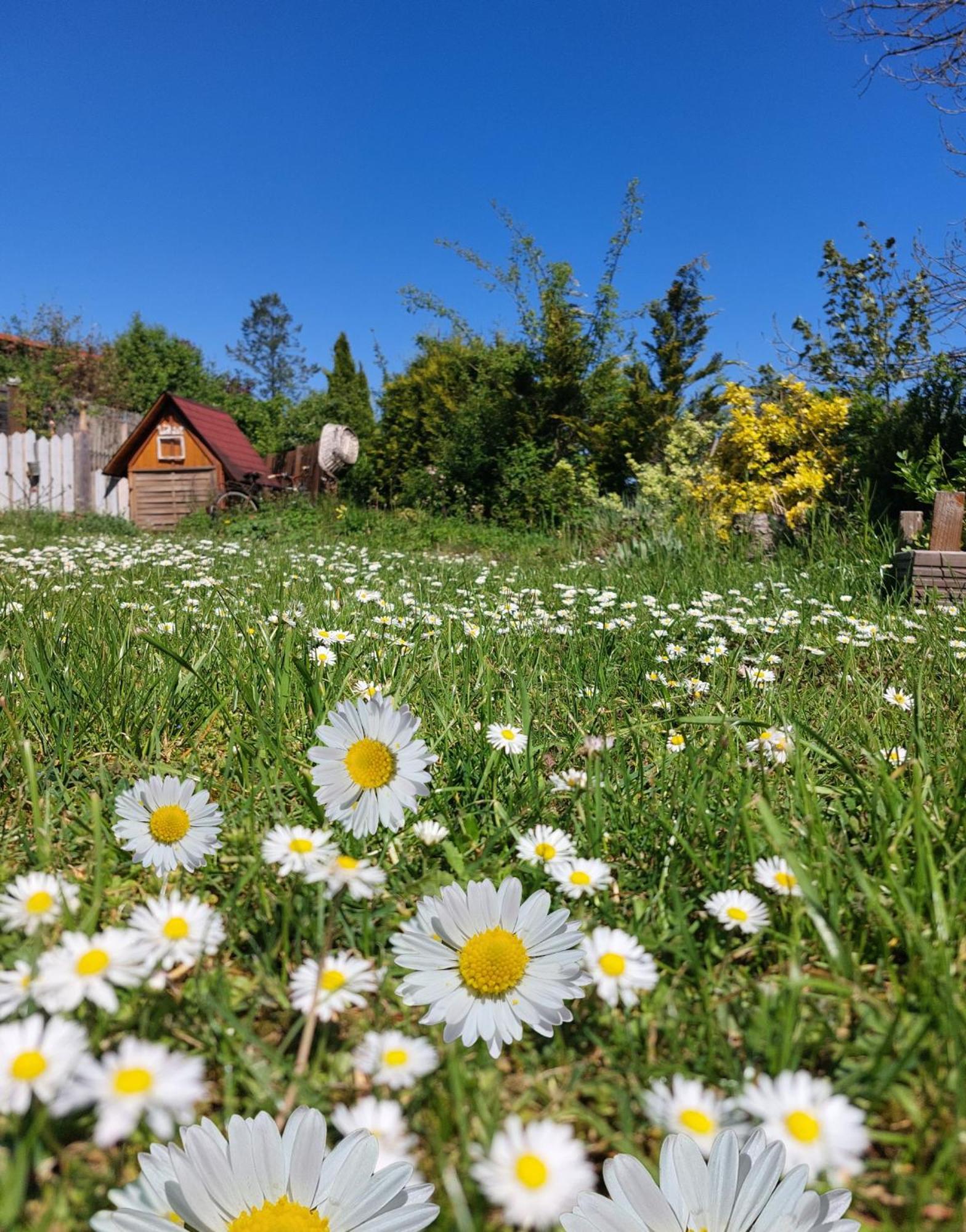Ferienhaus Nr 2 - Das Kleine Haus Im Haus Heiligenstadt in Oberfranken Buitenkant foto